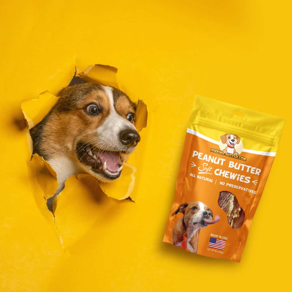 Hero Image Custom Printed Dog Treat Bags