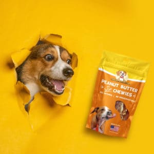 Custom Printed Dog Treat Bags